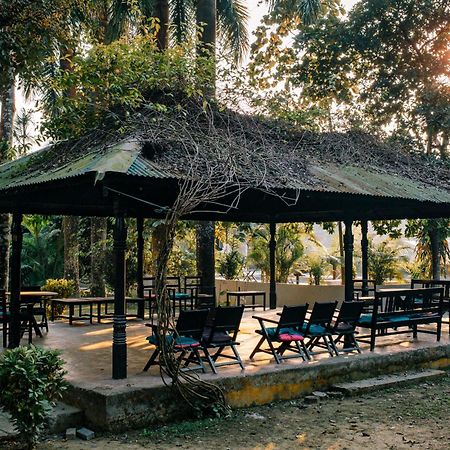 Hotel Parkside & Swimming Pool-Between Greenery And Azure ,Your Perfect Retreat Chitwan Exterior foto